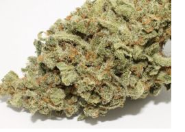 MARIGUANA 1